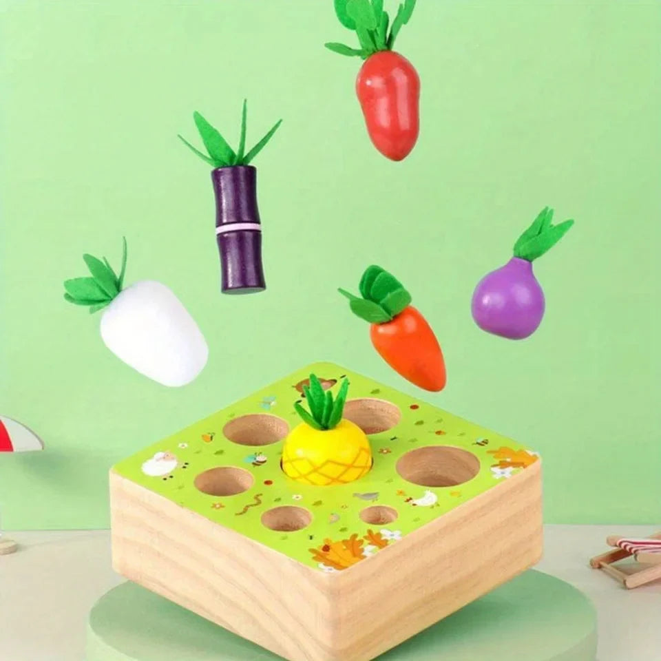 Montessori Vegetable Set