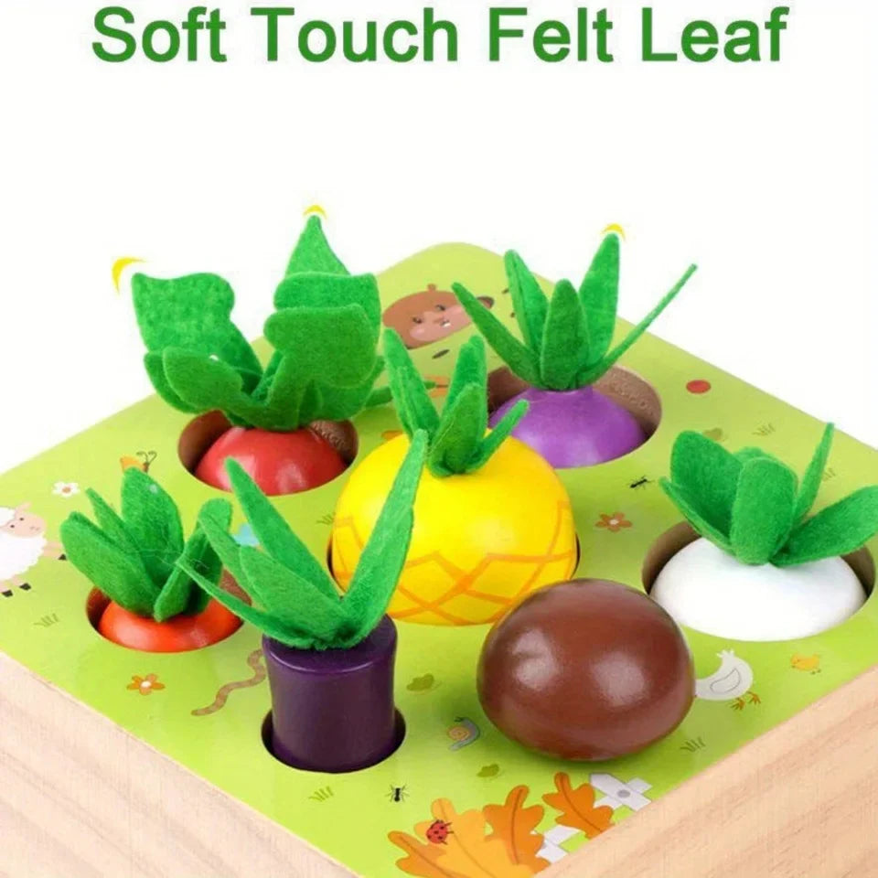 Montessori Vegetable Set